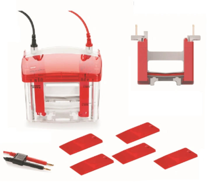 WIX-multiPRO2 預制膠電泳槽